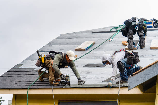 Professional Emergency Roof Repair technician working in Woolstock, IA